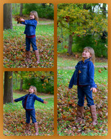 collage leaves 2