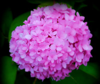 DSC_0071 edit (2)