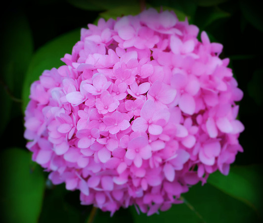 DSC_0071 edit (2)