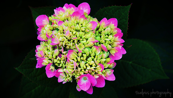 DSC_0070 edit